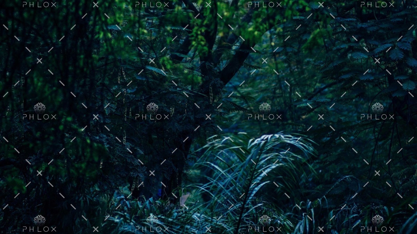 demo-attachment-639-abstract-2181884-scaled