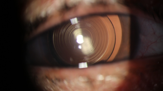 1A2819DF-C547-4EE6-9BF2-A9BBF7F730CF-scaled