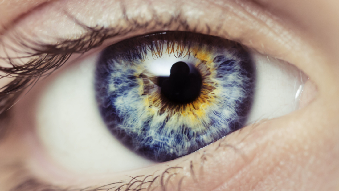 Eye-1-scaled